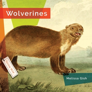 Hardcover Wolverines Book