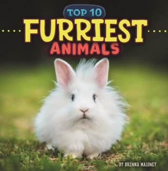 Furriest Animals (Wild World: Top 10)
