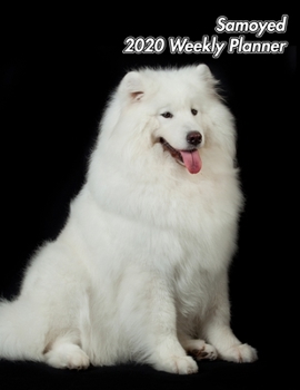 Paperback Samoyed 2020 Weekly Planner: 12 Months - 107 pages 8.5 x 11 in. - Calendar - Diary - Organizer - Vaccinations - Vet Appointments - Half Spread Blan Book