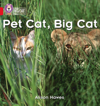 Paperback Pet Cat, Big Cat: Band 02a/Red a Book
