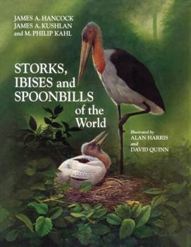 Hardcover Storks, Ibises and Spoonbills of the World Book