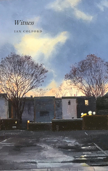 Paperback Witness Book