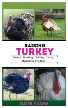 RAISING TURKEYS: Breads, Housing, Training, Caring, Marketing, Feeding