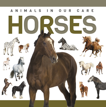 Paperback Horses Book