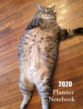 Paperback 2020 Planner Notebook: Funny Tabby Cat Planner Book With Monthly and Weekly Calendars, Monthly Budget Sheet and Weekly Meal Plan Book
