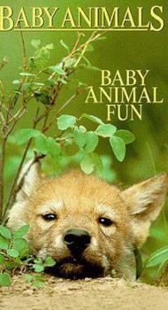 Hardcover Baby Animal Fun Book