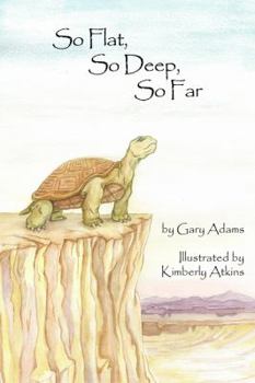 Paperback So Flat, So Deep, So Far Book