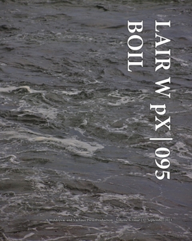 Paperback LAIR W pX 095 Boil Book