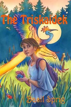 Paperback The Triskaidek Book