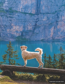 Paperback Calendario annuale 2020: &#9830; Manuale dell'organizzatore pratico per il 2020 &#9830; Anteprima di 12 mesi &#9830; 52 pianificatore settimana [Italian] Book