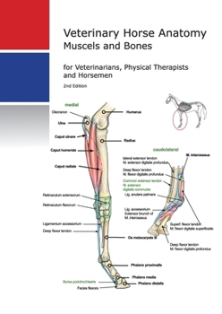 Horse Anatomy: Muscels, Bones, Joints and Ligaments: For Veterinarians, Physiotherapists and Horsemen