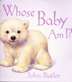 Hardcover Whose Baby Am I? Book
