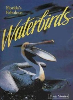 Paperback Florida's Fabulous Waterbirds: Their Stories Book