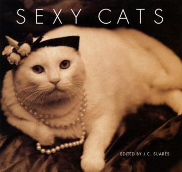 Hardcover Sexy Cats Book