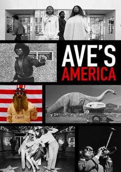 DVD Ave's America Book