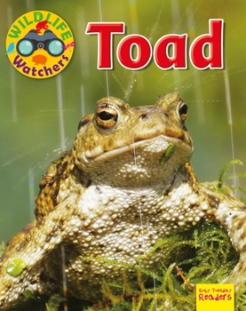 Toad - Book  of the Wildlife Watchers