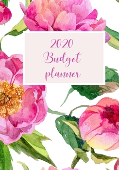 2020 Budget Planner : Two Year Planner Expense and Debt Tracker 2020 To 2021