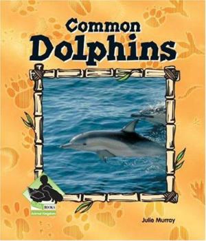 Library Binding Common Dolphins Book