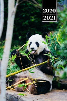 Panda Bear Week Planner Weekly Organizer Calendar 2020 / 2021 - Green Breakfast: Cute Wildlife Animal Bullet Journal Notebook Diary in 6” x 9” Inch Pocket Size