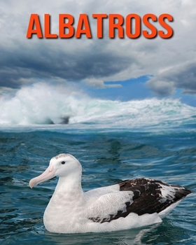 Paperback Albatross: Amazing Pictures & Fun Facts on Animals in Nature Book