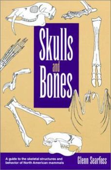 Paperback Skulls & Bones Book