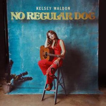 Vinyl No Regular Dog Book