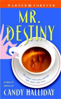 Paperback Mr. Destiny Book