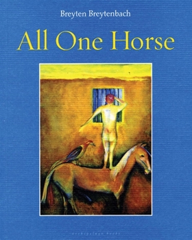 Paperback All One Horse Book