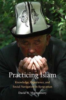 Practicing Islam: Knowledge, Experience, and Social Navigation in Kyrgyzstan - Book  of the Central Eurasia in Context