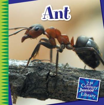 Ant - Book  of the Creepy Crawly Critters