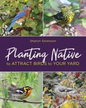 Paperback Planting Native to Attract Birds to Your Yard Book
