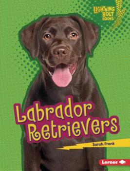 Library Binding Labrador Retrievers Book