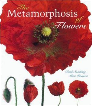 Hardcover The Metamorphosis of Flowers Book