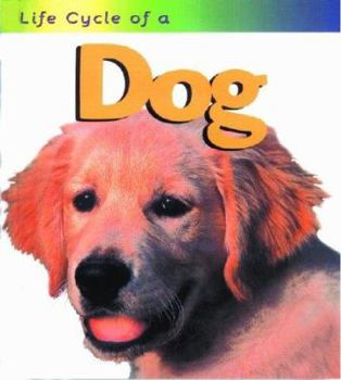Dog (Life Cycle of a) - Book  of the Life Cycle of a...