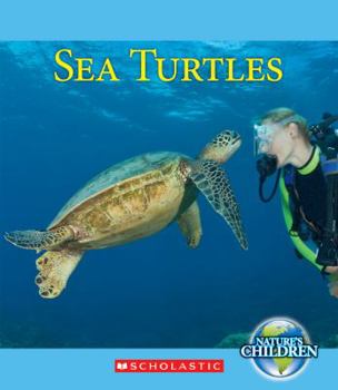 Paperback Sea Turtles Book