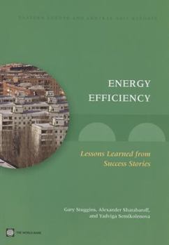 Paperback Energy Efficiency: Lessons Learned from Success Stories Book