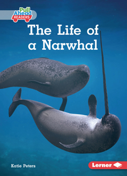 Paperback The Life of a Narwhal Book