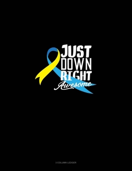 Paperback Just Down Right Awesome: 3 Column Ledger Book