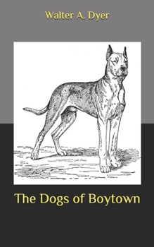 The Dogs of Boytown