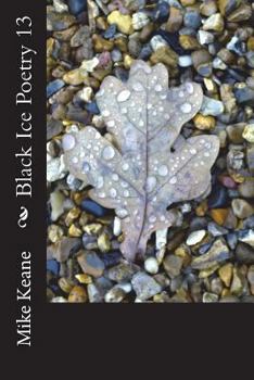 Paperback Black Ice Poetry 13 Book