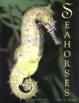 Paperback Seahorses Book