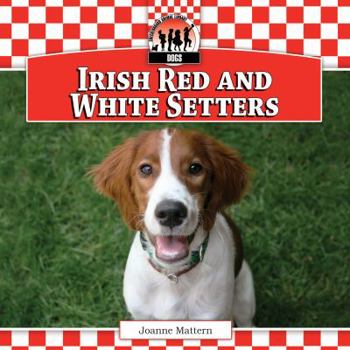Library Binding Irish Red and White Setters Book