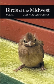 Paperback Birds of the Midwest Book