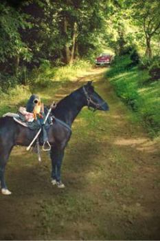 Perfect Paperback Aim at the Heart Book