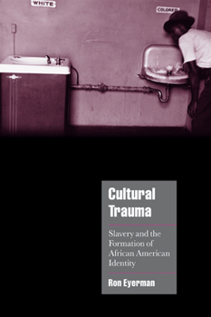 Paperback Cultural Trauma: Slavery and the Formation of African American Identity Book