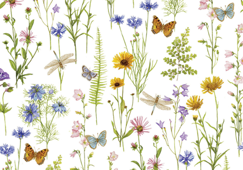 Misc. Wildflower Garden Note Cards (14 Cards, 15 Self-Sealing Envelopes) Book
