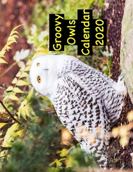 Groovy Owls Calendar 2020
