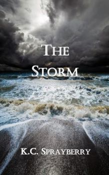 Paperback The Storm Book