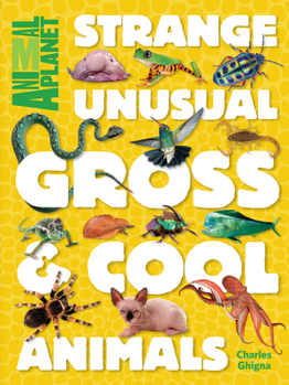 Hardcover Strange, Unusual, Gross & Cool Animals (an Animal Planet Book) Book
