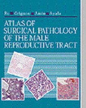 Hardcover Atlas of Surgical Pathology of the Male Reproductive Tract: A Volume in the Atlases in Diagnostic Surgical Pathology Series Book